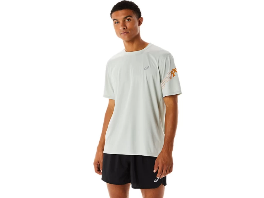 ASICS Men's Light Sage/Sandstorm Icon Short Sleeve T-Shirt